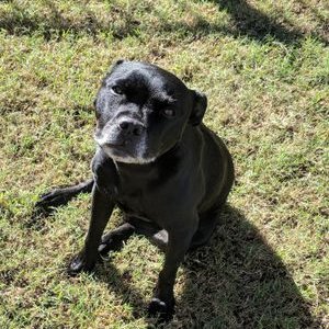 Profile Picture of Scott Gear (@ScottAGear) on Twitter