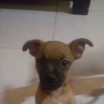 Profile Picture of Orfa Escobar Gallego (@escobargallegoorfa) on Instagram