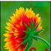 Profile Picture of Parmar Vikram (@parmar.vikram.3726613) on Facebook