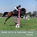 Profile Picture of Amy Clint Roberts (@mimi4356) on Instagram