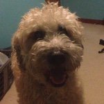 Profile Picture of Buddy Hyatt (@btwd05) on Instagram