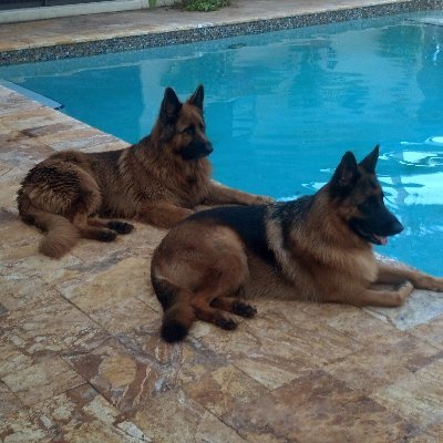 Profile Picture of Karen Kopp (@KarenKo63233689) on Twitter