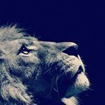 Profile Picture of Eric (@ericinouye420) on Instagram