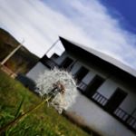 Profile Picture of bernetsavadkooh (@bernetsavadkooh) on Instagram