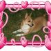 Profile Picture of Cindy Clift Pritchett (@cindy.cliftpritchett) on Facebook