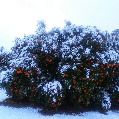 Profile Picture of Sam Chalmers (@samchalmers10) on Twitter
