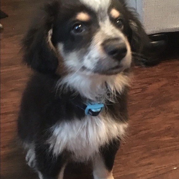 Profile Picture of Kathryn Mccartt (@kburnett17) on Poshmark