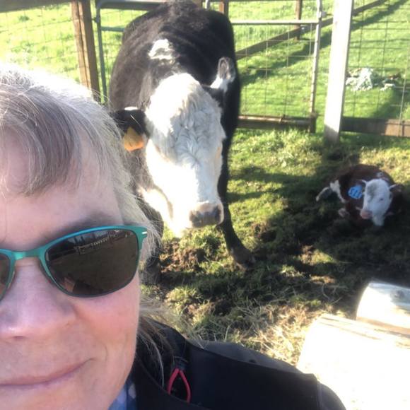 Profile Picture of Tracy Upmeyer-engholm (@1enghy) on Poshmark
