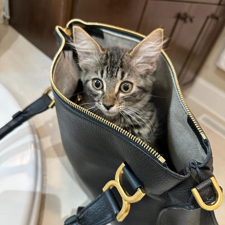 Profile Picture of Matthew_Nauman (@matthew_nauman) on Tiktok