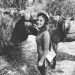 Profile Picture of Sharon Mazzara (@sharon_mazzara) on Instagram