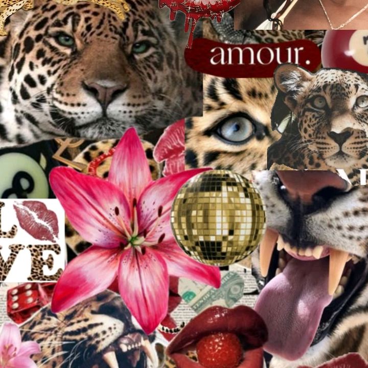 Kelly Markham - Tiktok Profile Picture of Kelly Markham (@@kellymarkham) on Tiktok