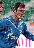 Profile Picture of Ivica Križanacon Wikipedia