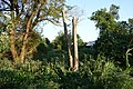 Profile Picture of South Beach, Staten Island - Wikipediaon Wikipedia