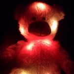 Profile Picture of steven brucker (@stevenbrucker) on Instagram
