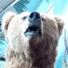 Profile Picture of Thomas Burnette (@@forsakenlimaste36) on Tiktok