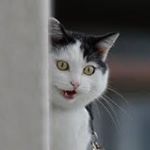 KristyElena Fleites Alejandro - Instagram Profile Picture of KristyElena Fleites Alejandro (@kristy_alejandro_) on Instagram