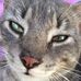 Profile Picture of Jerome Flakes (@jerome.flakes.7) on Facebook