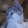 Profile Picture of Carry Marquardt (@@carrymarquardt) on Tiktok