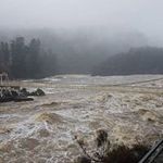 Profile Picture of Stephen Rainsford (@stephenrainsford) on Instagram