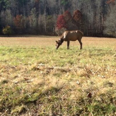 Profile Picture of Charles Chastain (@upsmanathga) on Twitter