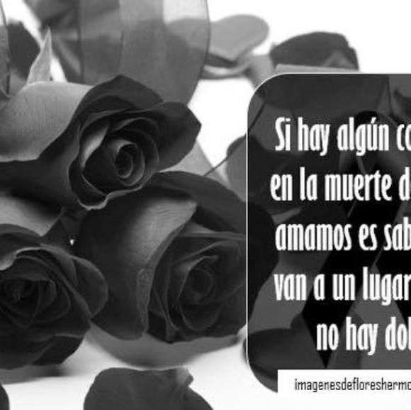 Profile Picture of Sathia Ramirez (@sathiaramirez) on Poshmark