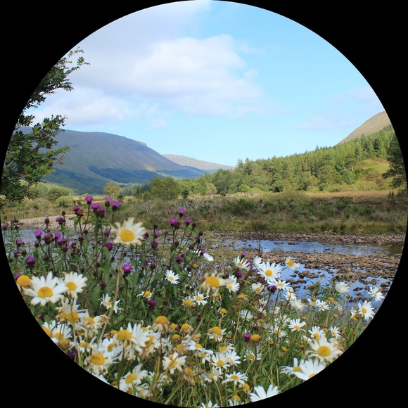 Blakeley Hargrove - Poshmark Profile Picture of Blakeley Hargrove (@bwall7) on Poshmark