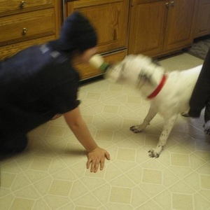 Profile Picture of Corey Wilburn (@158683887) on Myspace