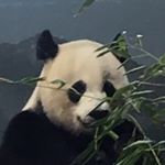Profile Picture of Joey Platt (@plattjoey) on Instagram