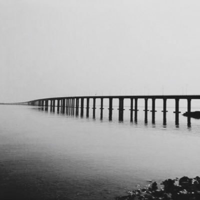 Profile Picture of Yang pan (@yangpan24) on Twitter