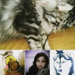 Profile Picture of Beverly Fiebig (@bevis_live) on Instagram