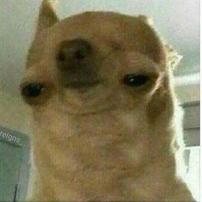 Profile Picture of Bruce Matus (@random_cat_1) on Twitter