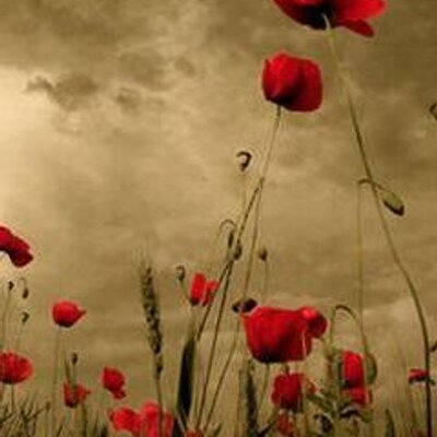 Profile Picture of Azra Qureshi (@azraqureshi2) on Twitter