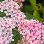 Profile Picture of Julia Baker (@Julia-Baker) on Facebook