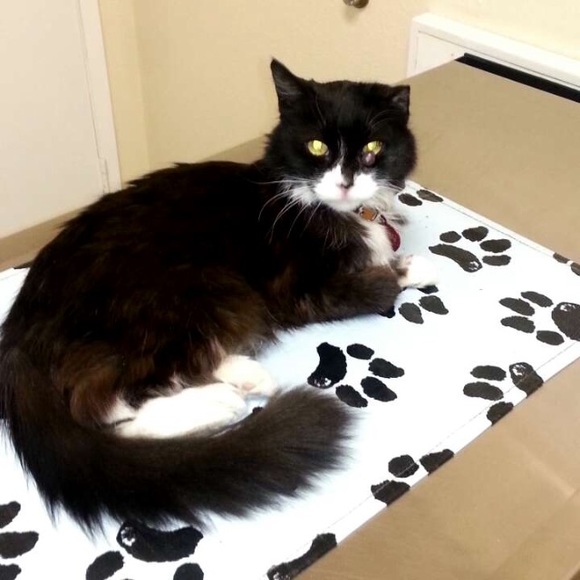 Jessica Hodgen - Poshmark Profile Picture of Jessica Hodgen (@jessicahodgen) on Poshmark