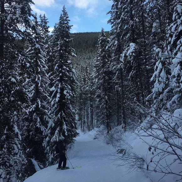 Profile Picture of Frank Gulyas (@frankgulyas) on Poshmark