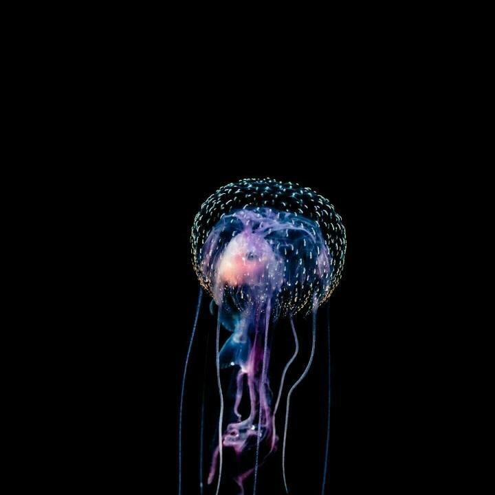 Profile Picture of BarryHess (@tierruqermn) on Tiktok