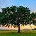 Profile Picture of William Towler (@william.towler.12327) on Facebook