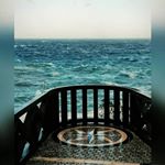 Profile Picture of Rosario Dato (@rosariodato_) on Instagram