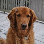 Profile Picture of Jeff Claypool (@jeffclaypool) on Instagram