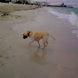 Profile Picture of miksea (@@miksea) on Tiktok