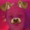 Profile Picture of Lisa Corrigan (@@lisacorrigan) on Tiktok