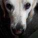 Profile Picture of Alison Soderberg (@asoderberg85) on Pinterest