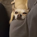 Profile Picture of Joel Tinkler (@joel.tinkler.71) on Facebook