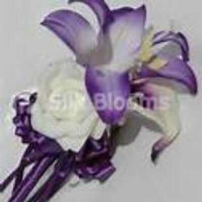 Profile Picture of JoAnn Wilbur (@JoWilbur68) on Twitter