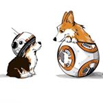 Profile Picture of Pembroke Welsh Corgi 🦊 Альфа (@corgi_alpha) on Instagram