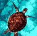 Profile Picture of Cathy Scheppler (@cathy.scheppler.7) on Facebook