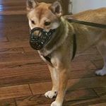 Profile Picture of Tony Hogan (@tony.hogan.3979) on Instagram