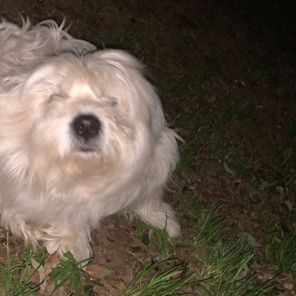 Profile Picture of Julie Erichson (@julieerichson) on Poshmark