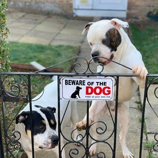 Profile Picture of Michał Białowąs (@Micha&) on Facebook