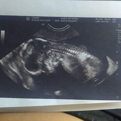 Profile Picture of Jacobo/Paula (@JacoboPaula2) on Twitter